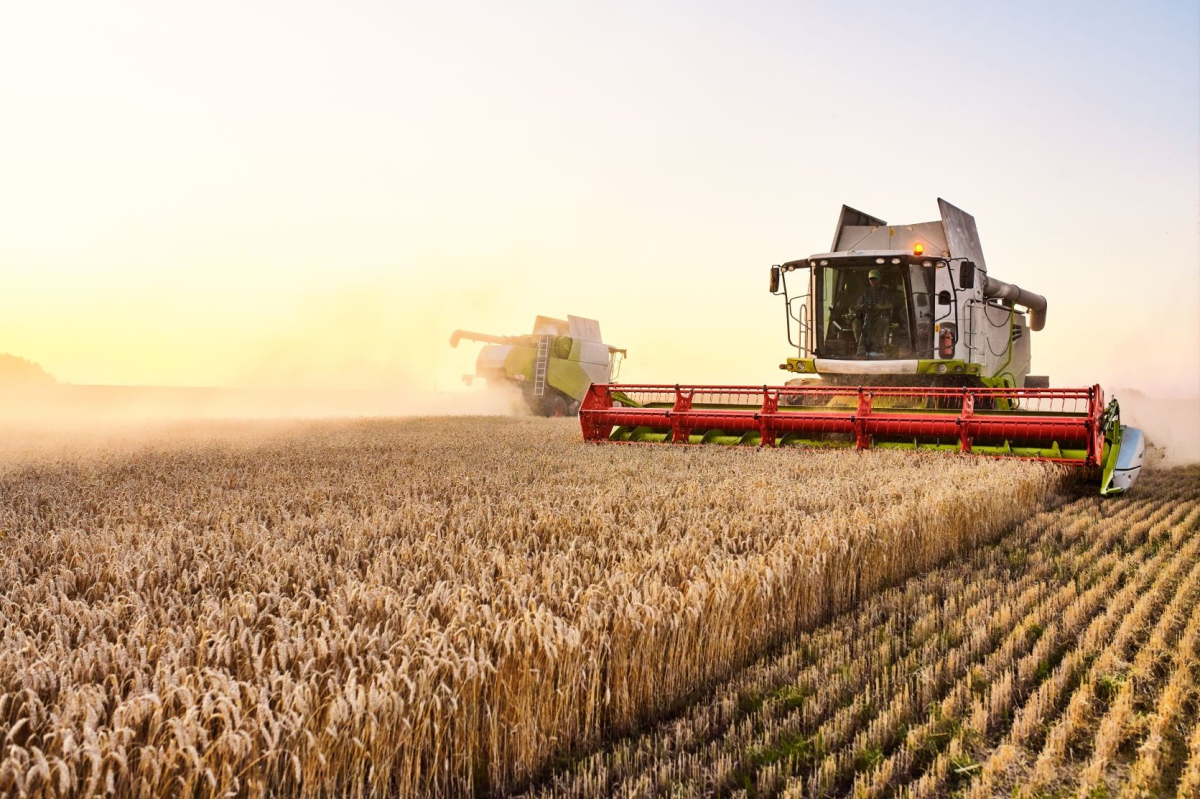 Zmiany w prawie zagrażają rolnictwu? Sektor wzywa do pilnej interwencji 2