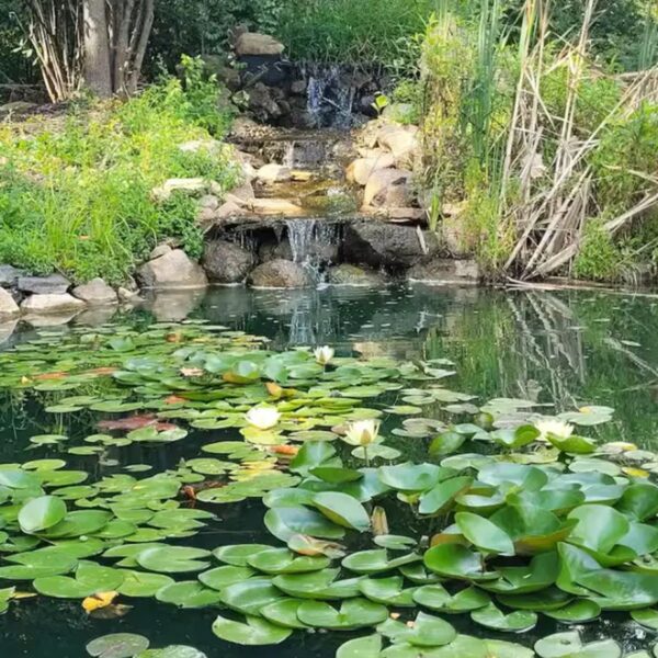 Główna 101 Poznaj kulisy wynajmu na Airbnb: Trzy…