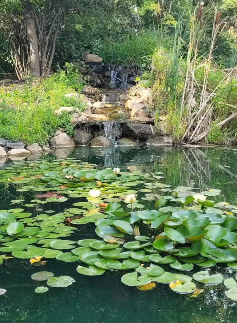 Poznaj kulisy wynajmu na Airbnb: Trzy historie, które przestrzegają przed pułapkami