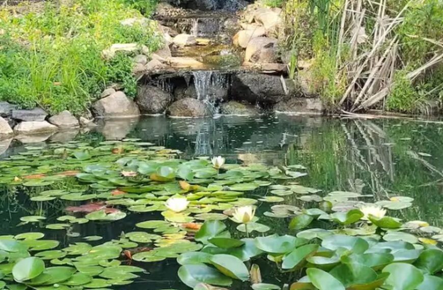 Poznaj kulisy wynajmu na Airbnb: Trzy historie, kt&oacute;re przestrzegają przed pułapkami