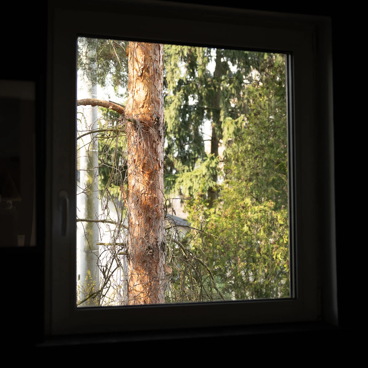 Inteligentny robot sprzątający zintegrowany z funkcją prania: rewolucja w domowej automatyzacji 28