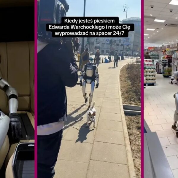 Robot za cenę samochodu hitem TikToka&hellip;