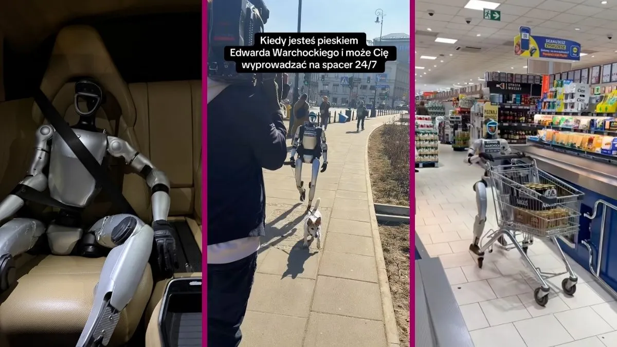 Robot za cenę samochodu hitem TikToka &ndash; polski tw&oacute;rca podbija sieć 2