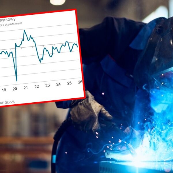 Główna 78 PMI spada: Polską gospodarkę czekają trudne…