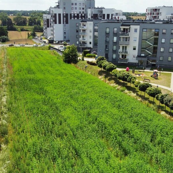 Nowy właściciel lubelskiego pola zdradza swoje plany inwestycyjne