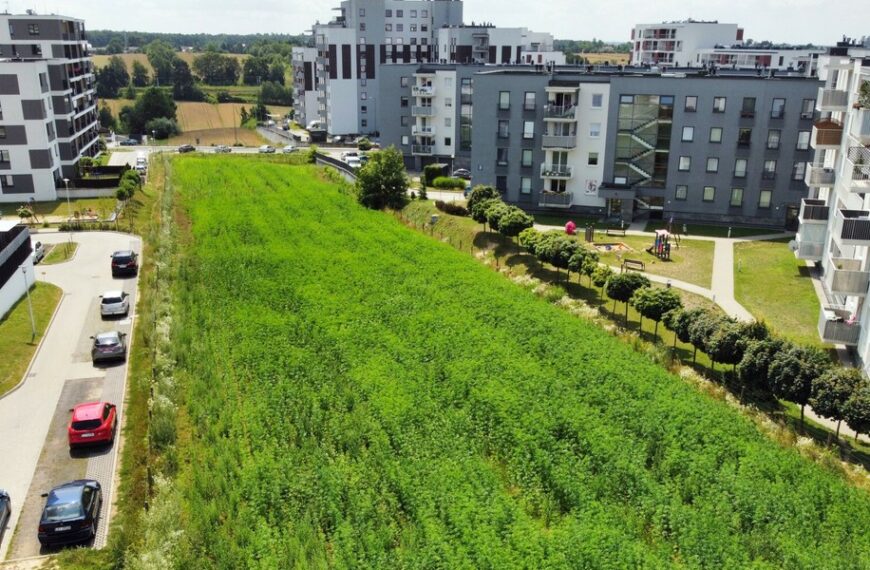 Nowy właściciel lubelskiego pola zdradza swoje plany inwestycyjne