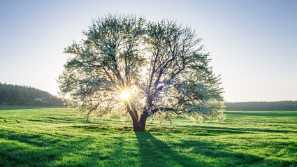 Dekarbonizacja się kończy? "Net Zero is Dead"