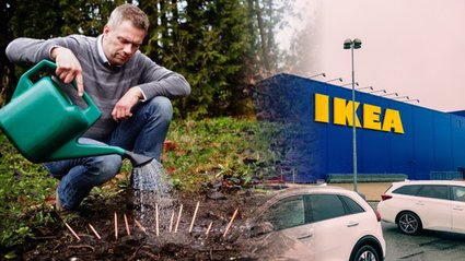 Sprzedawca oł&oacute;wk&oacute;w "złamał" nawet Ikeę. Zarabia na nich miliony