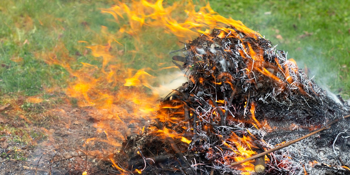 Płonące gałęzie (zdj. ilustracyjne)