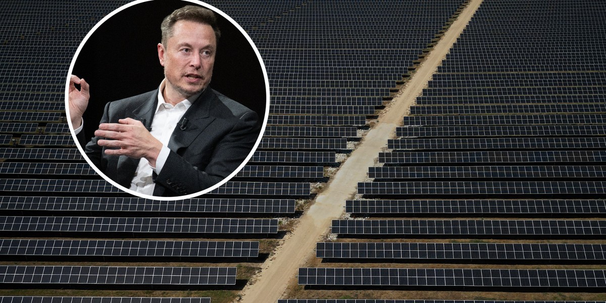 Elon Musk według nieoficjalnych informacji planuje duże zakupy maszyn do produkcji paneli solarnych w Chinach i produkować te panele w Teksasie. Na zdjęciu farma solarna Blue Jay w Teksasie