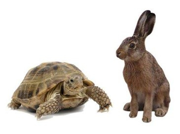 Błędy menedżera? Jak Tw&oacute;j m&oacute;zg Cię oszukuje i jak temu zaradzić 7