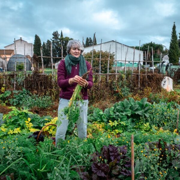 Główna 93 Odkryj Działkę ROD: Praktyczny Przewodnik Zakupu…