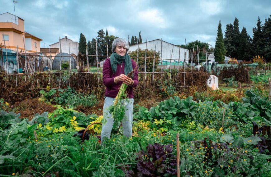 Odkryj Działkę ROD: Praktyczny Przewodnik Zakupu&hellip;