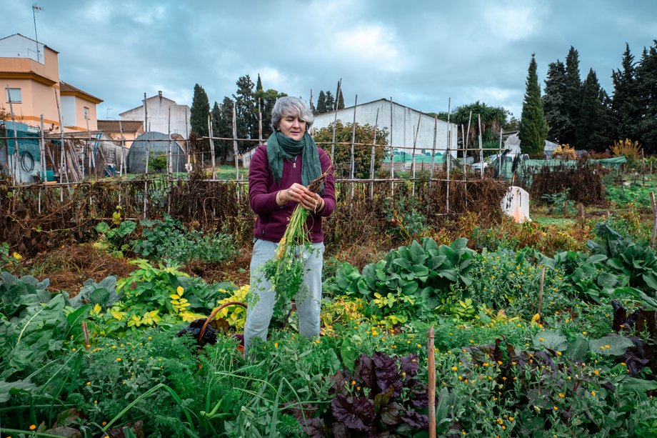 Ustawa określa zasady zakładania, funkcjonowania i likwidacji ogrod&oacute;w