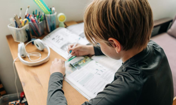 Główna 79 Edukacja domowa pod lupą: Szkoła w…