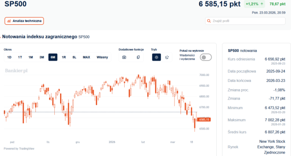 Inwestorzy stawiają na pok&oacute;j: Wall Street odzyskuje oddech po burzy 4