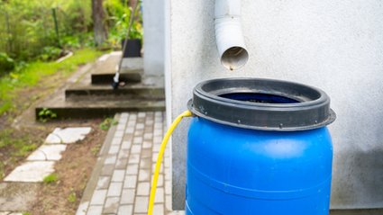 Rządowe dopłaty za zbieranie deszcz&oacute;wki. Można zyskać nawet 10 tys. zł