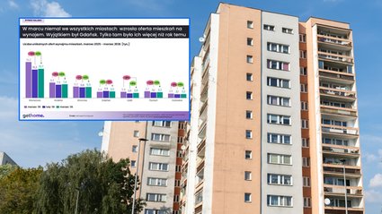 Więcej mieszkań na wynajem w dużych miastach. Czynsze nie idą w g&oacute;rę