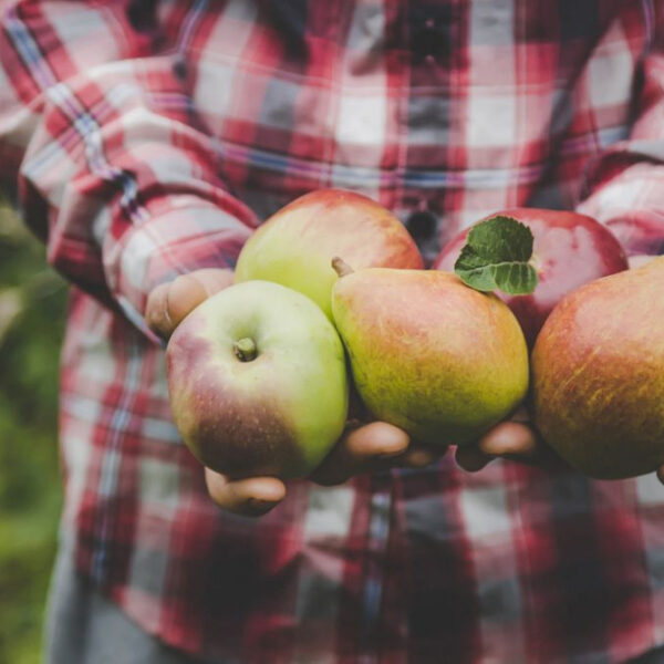 Zmień nawyki zakupowe: Polacy wybierają świeże produkty prosto&hellip;