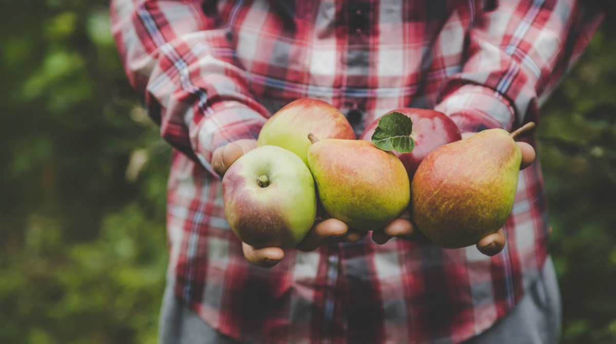 Zmień nawyki zakupowe: Polacy wybierają świeże produkty prosto od rolnika 2