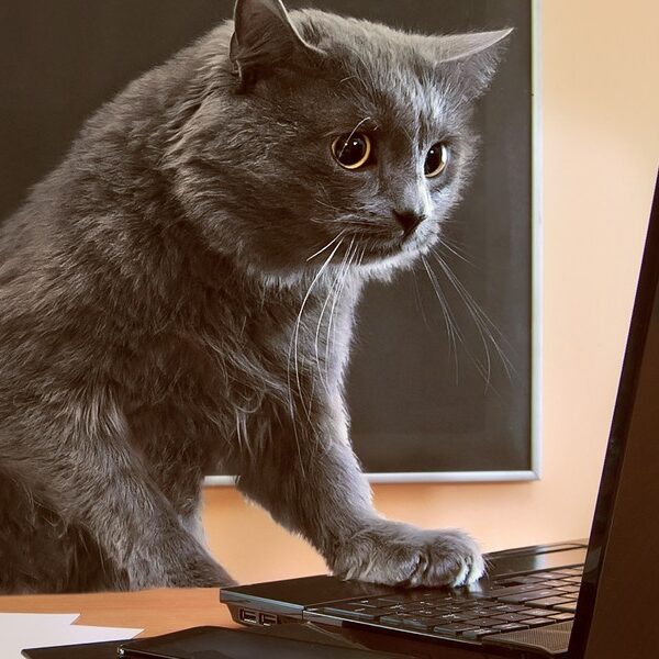 Uniknij pułapek w PIT: Dowiedz się,&hellip;