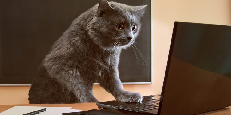 Uniknij pułapek w PIT: Dowiedz się, co możesz, a czego nie odliczysz od dochodu!