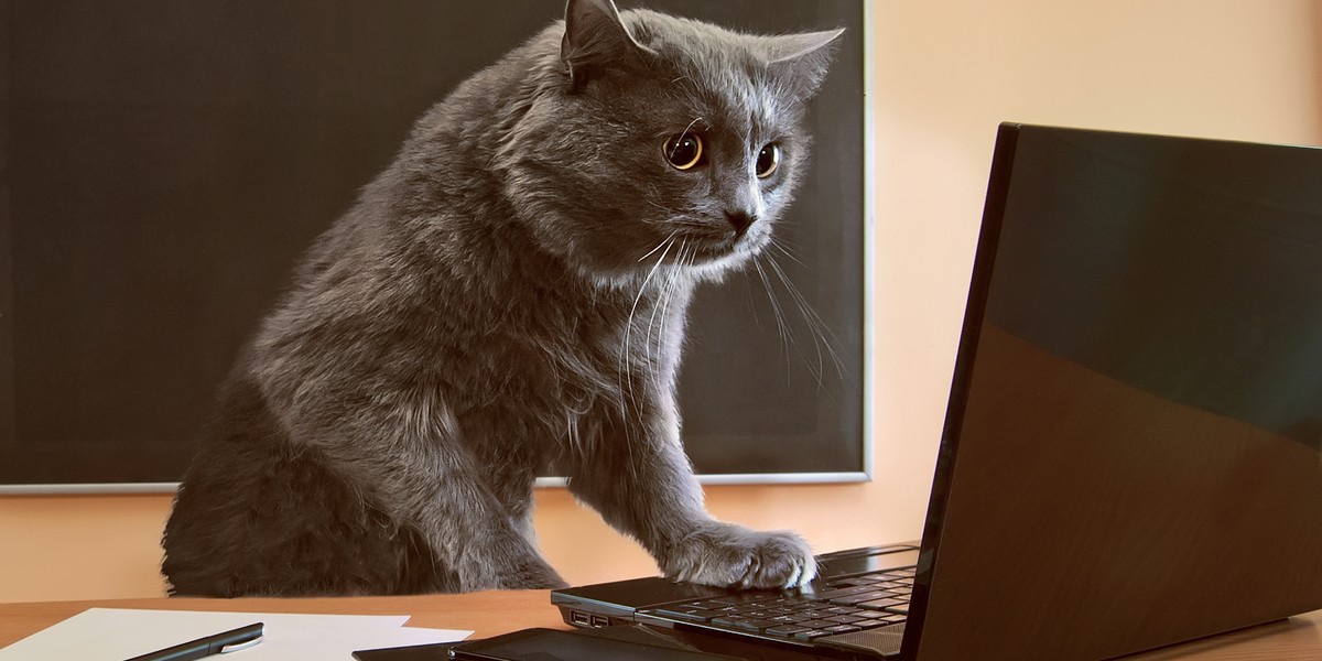 Ulga na kota to tylko początek. Pomysły Polak&oacute;w zaskakują fiskusa