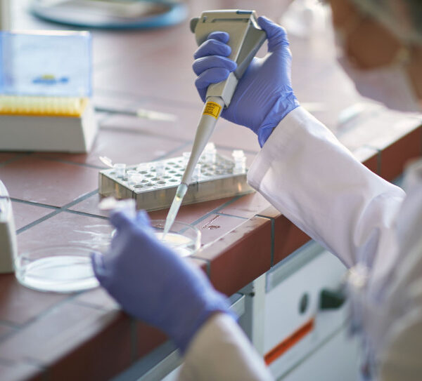 Biotechnologia wabi student&oacute;w: jak uczelnie otwierają drzwi do&hellip;