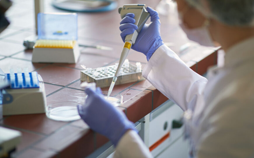 Biotechnologia wabi student&oacute;w: jak uczelnie otwierają drzwi do kariery i wysokich zarobk&oacute;w