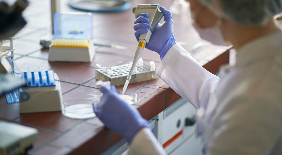 Biotechnologia wabi student&oacute;w: jak uczelnie otwierają drzwi do kariery i wysokich zarobk&oacute;w 2