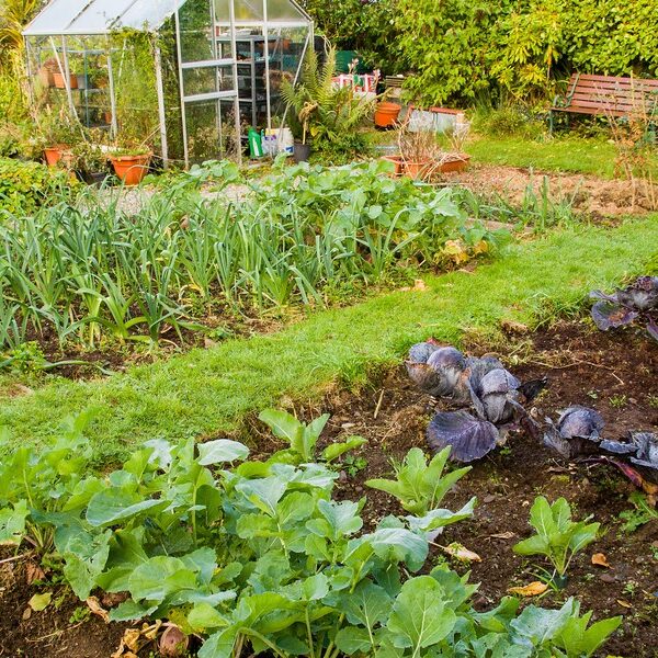 Nowe prawo ogranicza wstęp do Twojej&hellip;