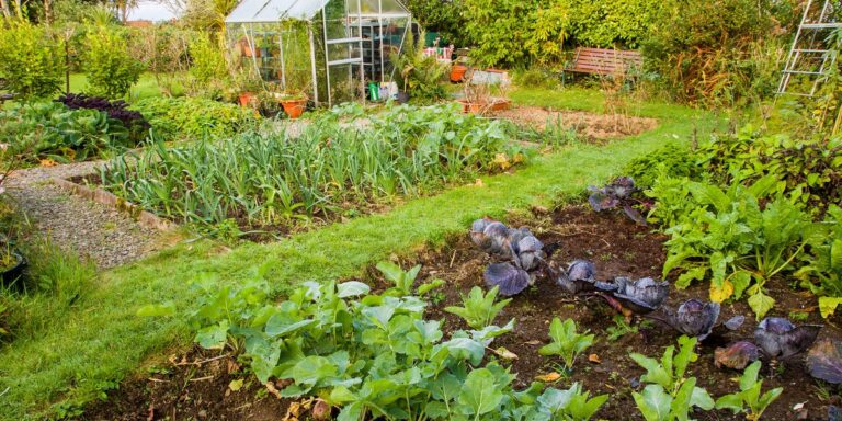 Nowe prawo ogranicza wstęp do Twojej nieruchomości – poznaj szczegóły