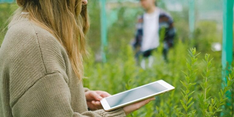 Huawei Startup Challenge V: Odkryj 20 najlepszych projektów technologicznych dla rolnictwa