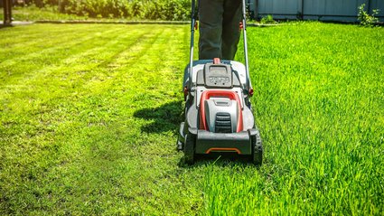 Top 3 kosiarki spalinowe do 1000zł. Ostrza wchodzą w najgęstszą trawę jak n&oacute;ż w masło