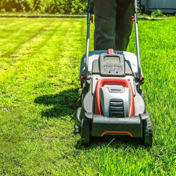 Odkryj 3 najlepsze kosiarki spalinowe do&hellip;