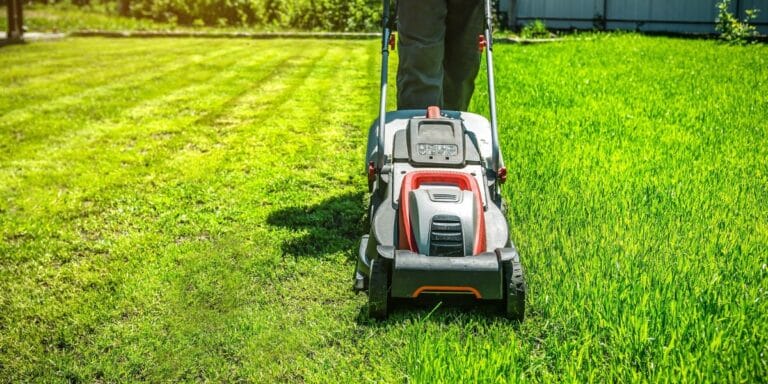 Odkryj 3 najlepsze kosiarki spalinowe do 1000 zł – idealne do każdego ogrodu