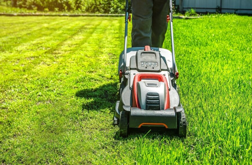 Odkryj 3 najlepsze kosiarki spalinowe do 1000 zł &ndash; idealne do każdego ogrodu