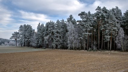 Tysiące hektar&oacute;w na sprzedaż na p&oacute;łnocy Polski. Dawniej był tu PGR