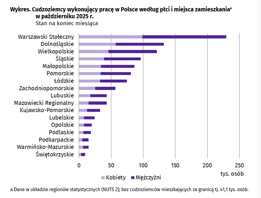 Polska: Milion cudzoziemc&oacute;w pracuje legalnie. Czy ich pobyt stanie się problemem? 8