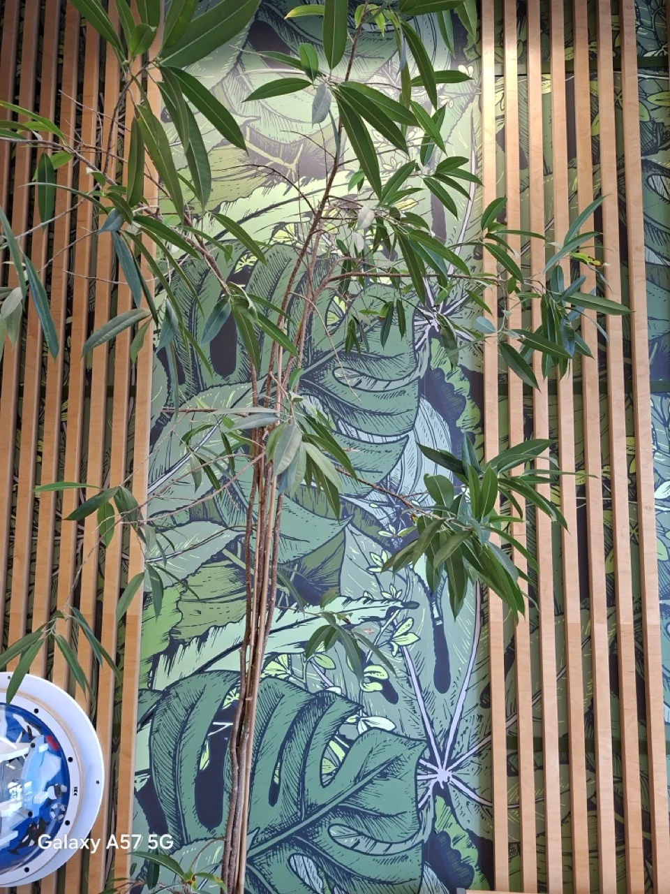 Samsung Galaxy: Który model podbije serca Polaków? Sprawdź nasz test! 66 Samsung Galaxy: Który model podbije serca Polaków? Sprawdź nasz test! 66