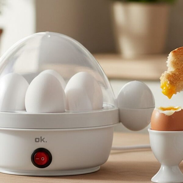 Główna 46 Kup jajowar za niewielkie pieniądze: oto…