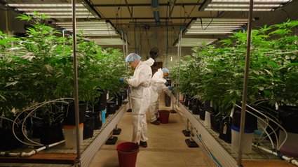 "Zielony" biznes wchodzi do mainstreamu. Po decyzji rządu USA firmy już liczą miliardy