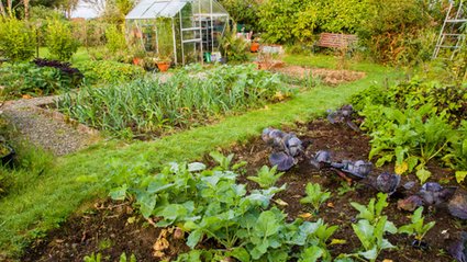Wejście na działkę bez zgody właściciela. Nastąpiła ważna zmiana przepis&oacute;w