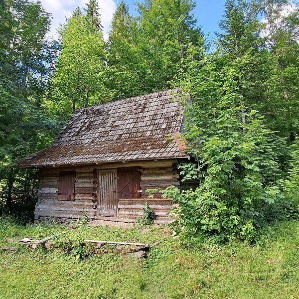 Główna 61 Zapłać podatek od nieruchomości i leśny…