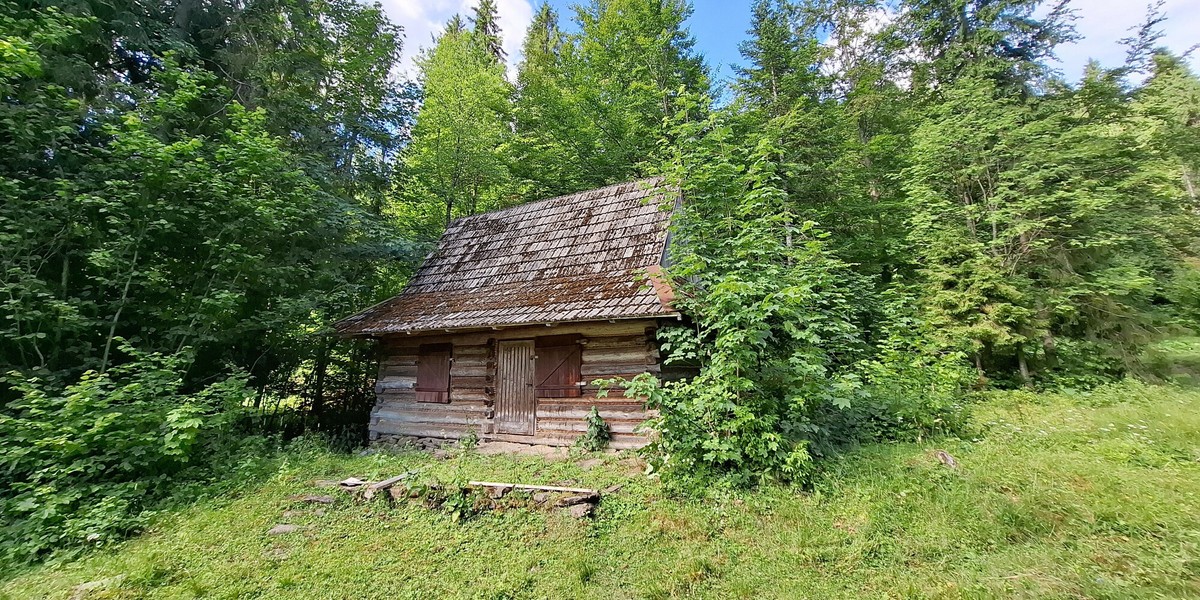 Zapłać podatek od nieruchomości i leśny – ostateczny termin mija 15 kwietnia 3 Dom w lesie (zdjęcie podglądowe)
