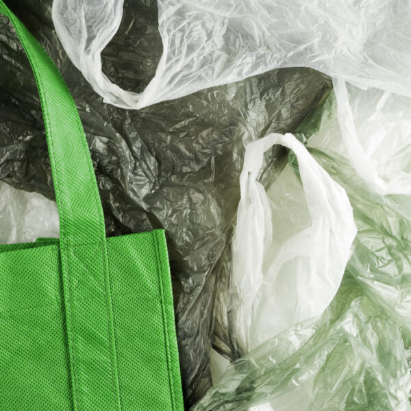 Główna 76 Nowa opłata za torby foliowe: kto zapłaci i…