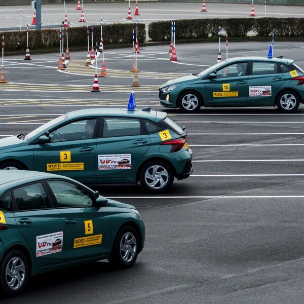 Główna 84 WORD-y rozwijają biznes na egzaminach na prawo jazdy – sprawdź,…