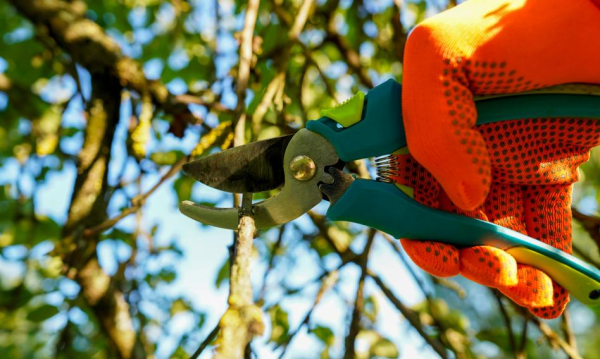 Główna 38 Kwiecień 2026: Odkryj lokaty z oprocentowaniem…