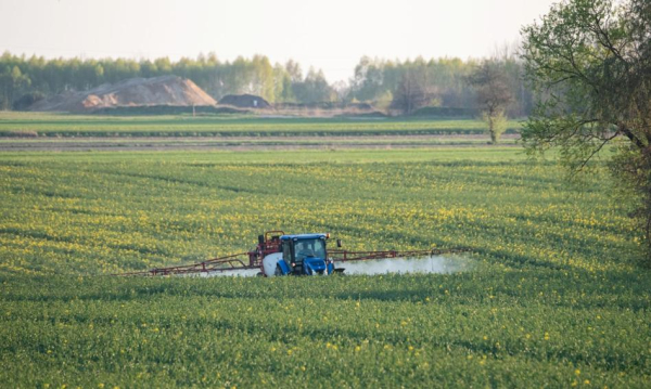 Główna 81 Ubezpieczenia upraw 2026: Odkryj pełen zakres ochrony i…