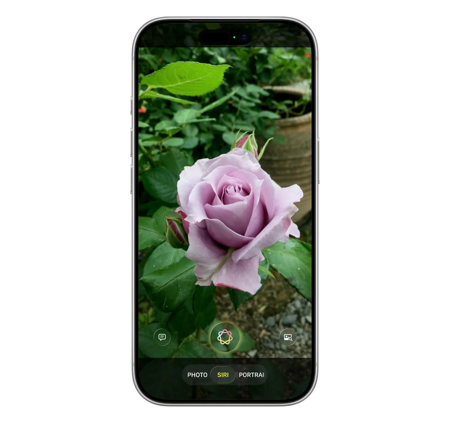 Siri przechodzi rewolucję: zobacz, co zmieni Apple w swojej asystentce 12 Siri przechodzi rewolucję: zobacz, co zmieni Apple w swojej asystentce 12